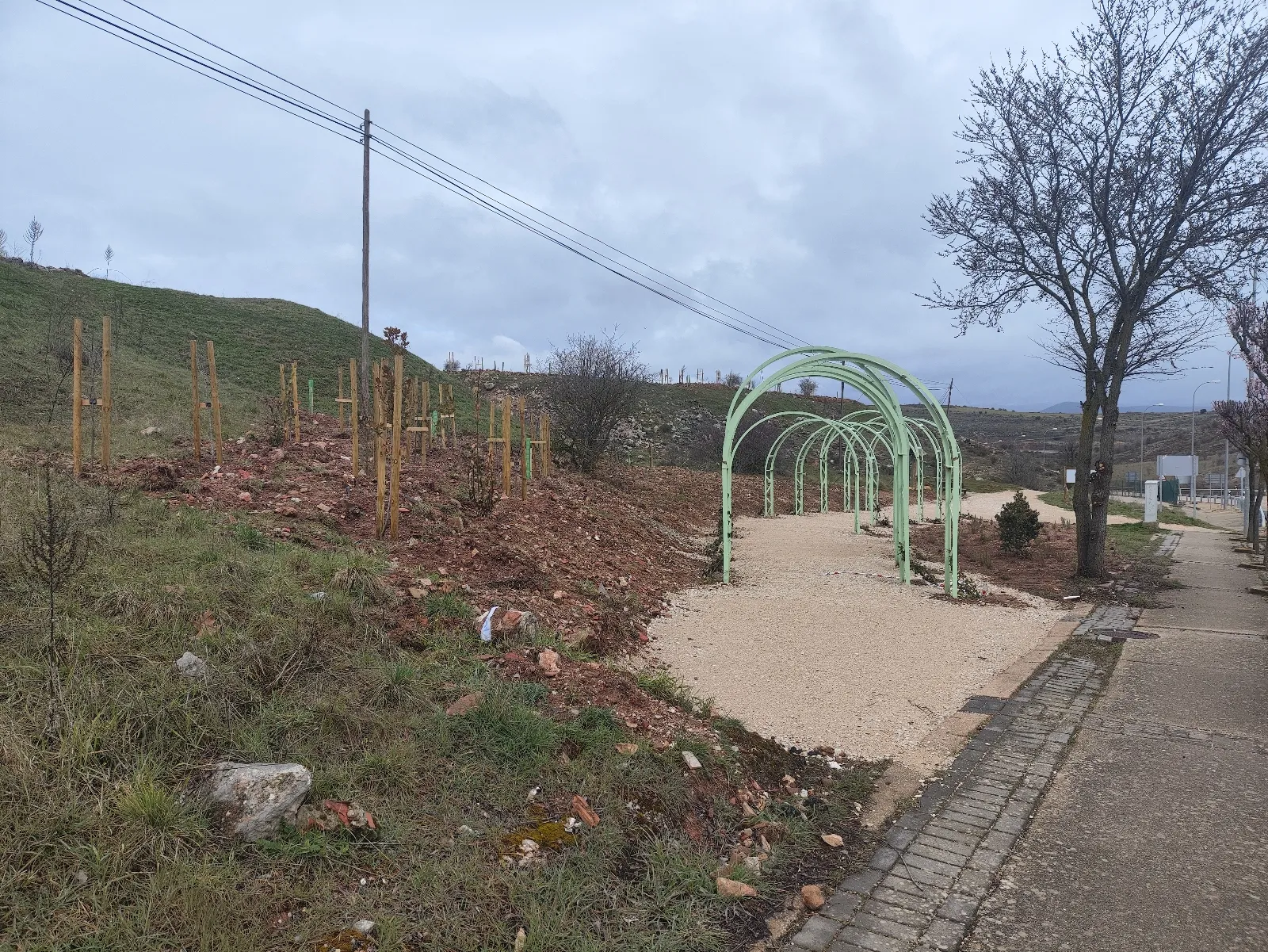 Foto 2 - &iquest;D&oacute;nde van estos nuevos arcos vegetales de Soria?