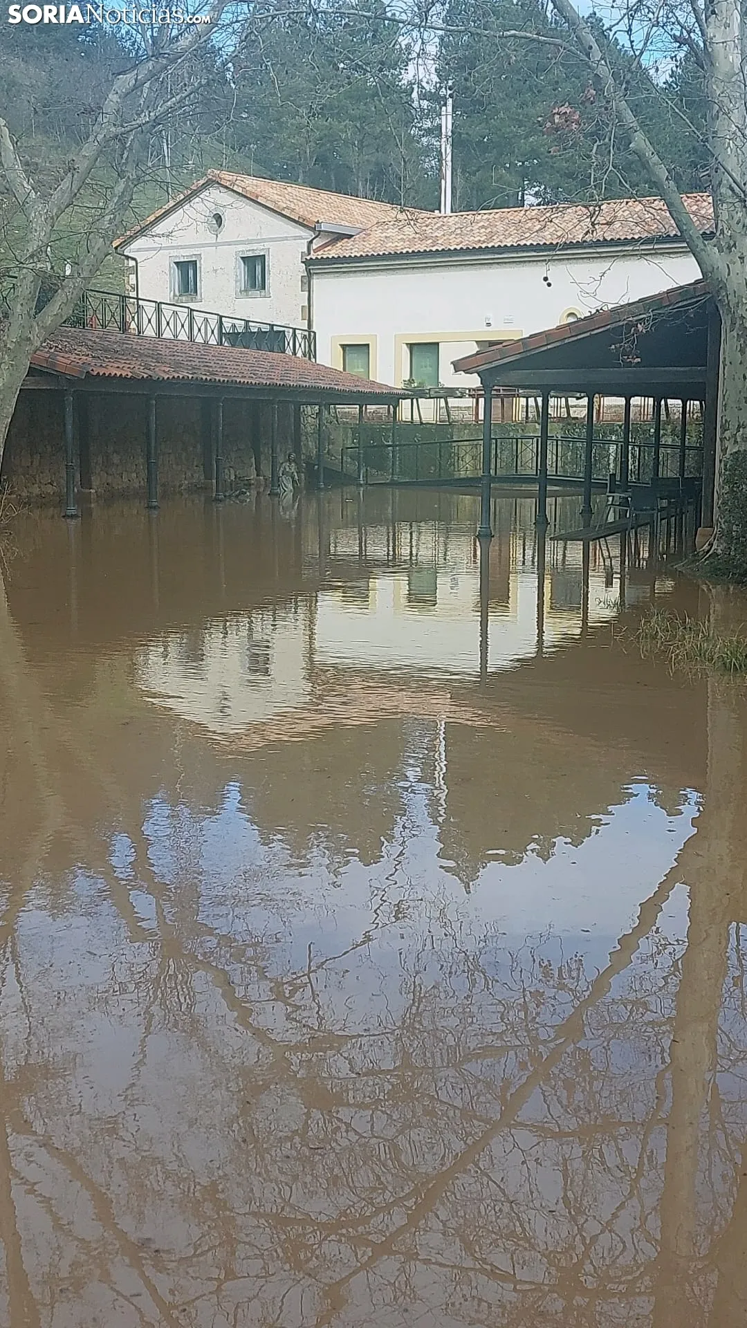 Imagen del Duero a su paso por Soria esta mañana de domingo. /SN
