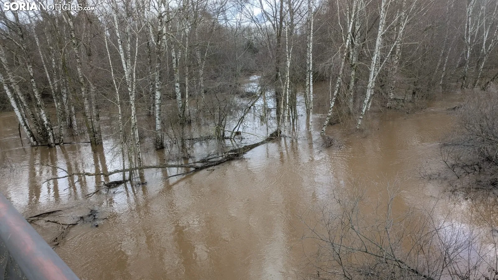 Imagen del río a su paso por Garray esta mañana de miércoles. /Ángel Campos