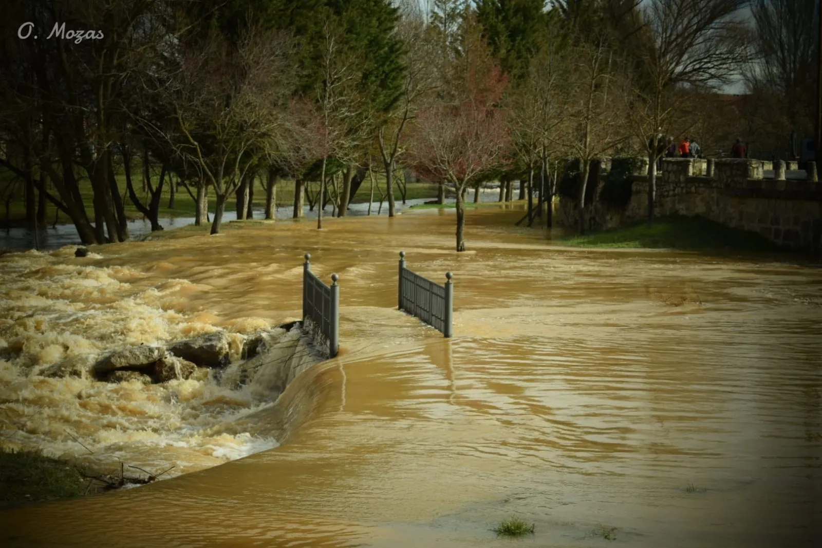 El Ucero hoy domingo en Osma. /Óscar Mozas