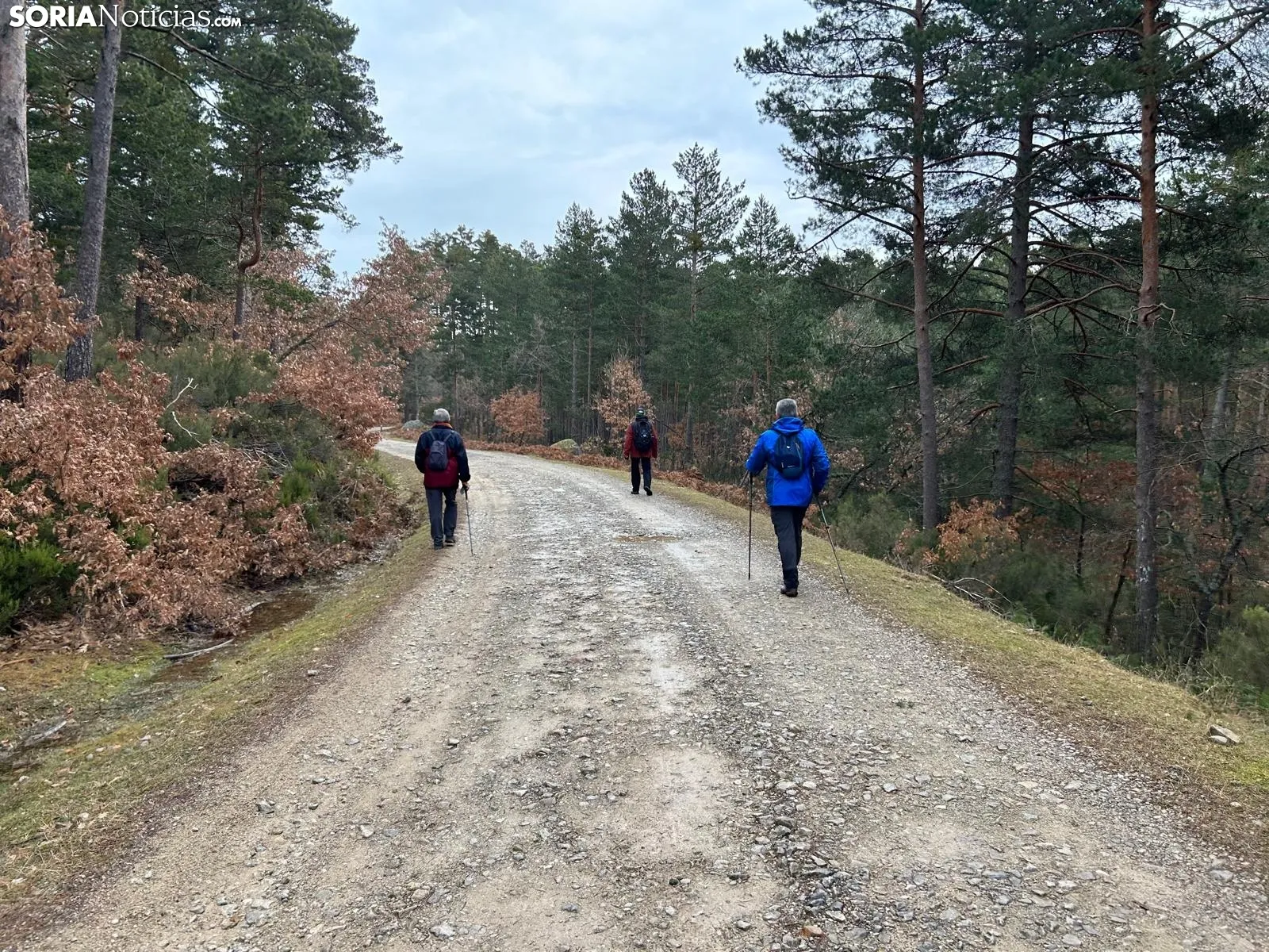 Foto 11 - Ruta: Un para&iacute;so soriano en Pinares