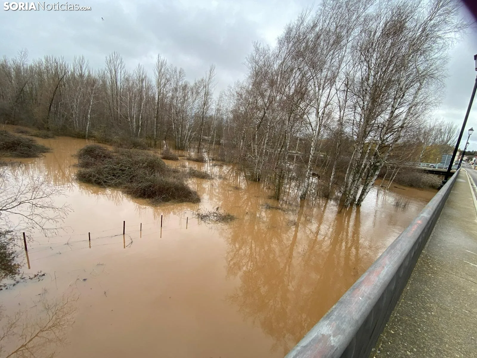 Foto 2 - Se desborda el r&iacute;o Tera a su paso por Garray