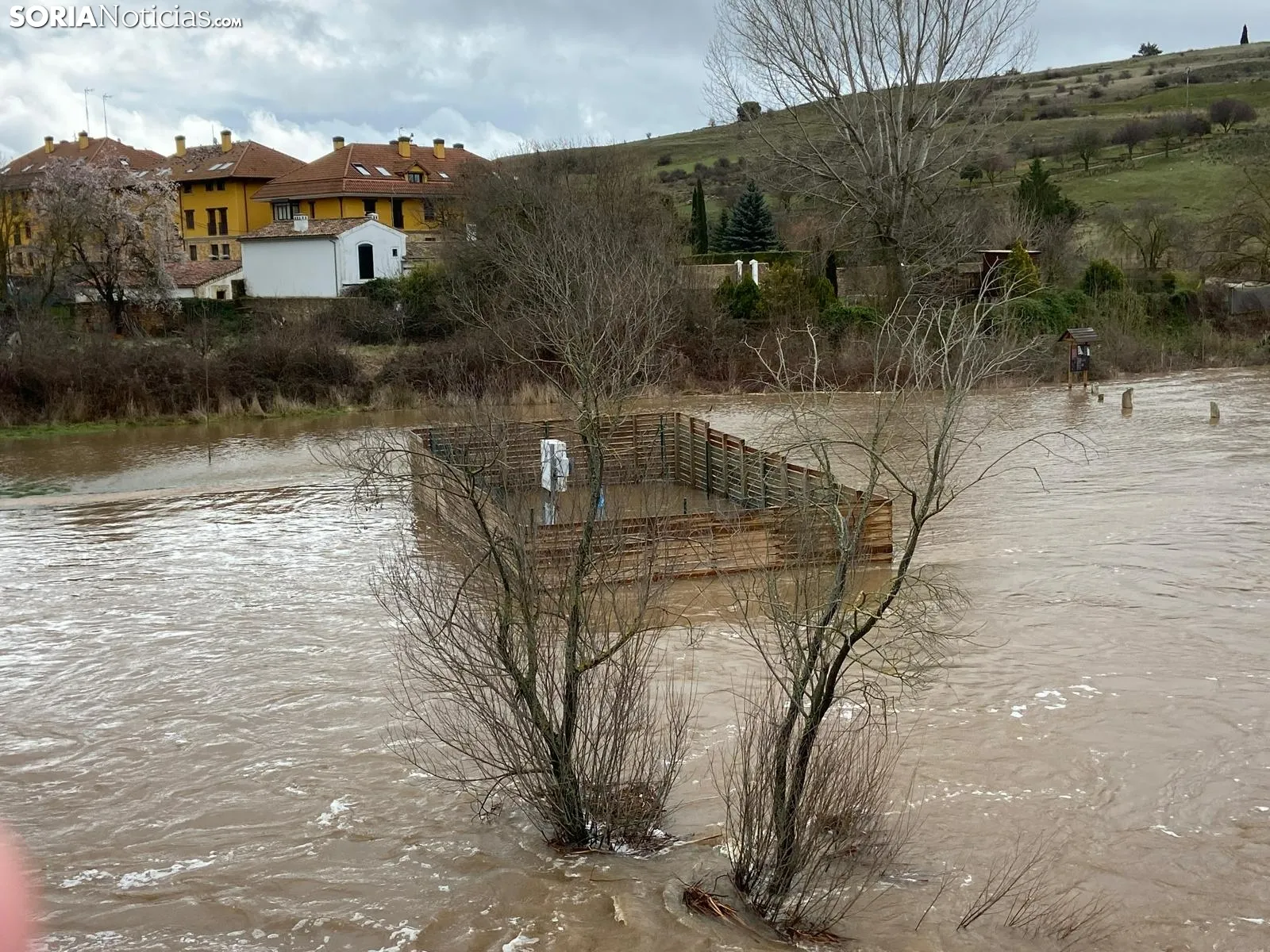 Foto 10 - Se desborda el r&iacute;o Tera a su paso por Garray