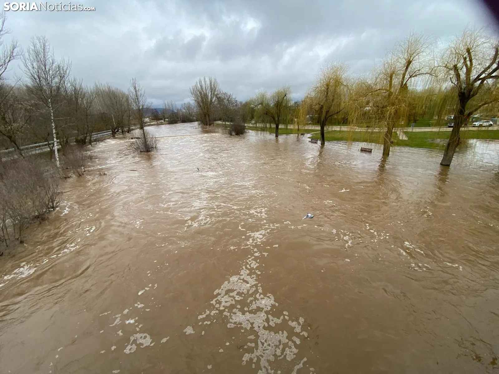 Foto 11 - Se desborda el r&iacute;o Tera a su paso por Garray