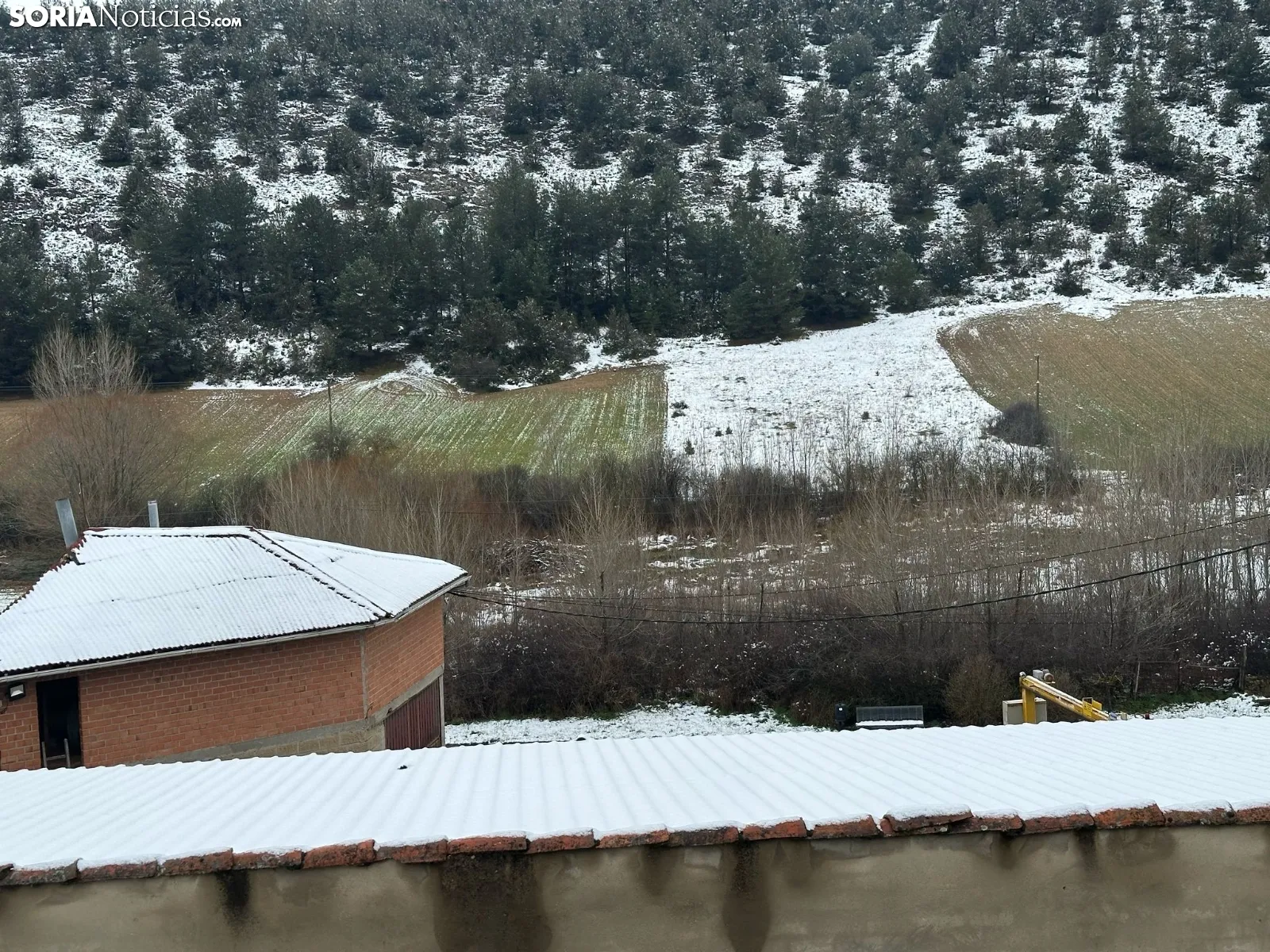 Foto 2 - V&iacute;deo: La nieve se deja ver por la provincia