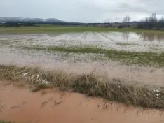Una imagen de la vega del Rituerto hoy lunes. /OG