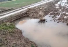 Una imagen de la vega del Rituerto hoy lunes. /OG