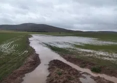 Una imagen de la vega del Rituerto hoy lunes. /OG