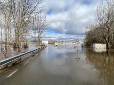 Una imagen del río esta mañana en Garray. /SN