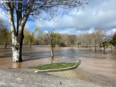 Una imagen del río esta mañana en Garray. /SN