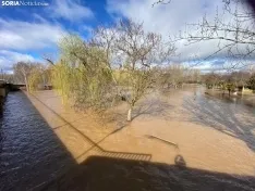 Una imagen del río esta mañana en Garray. /SN