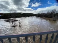 Una imagen del río esta mañana en Garray. /SN