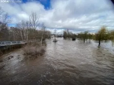 Una imagen del río esta mañana en Garray. /SN