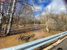 Una imagen del río esta mañana en Garray. /SN