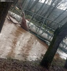 Imagen del Duero a su paso por Soria esta mañana de domingo. /SN
