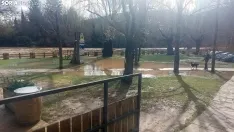Imagen del Duero a su paso por Soria esta mañana de domingo. /SN