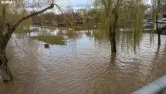 Imagen del río a su paso por Garray esta mañana de miércoles. /Ángel Campos
