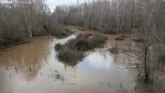 Imagen del río a su paso por Garray esta mañana de miércoles. /Ángel Campos