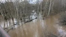 Imagen del río a su paso por Garray esta mañana de miércoles. /Ángel Campos