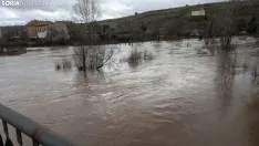 Imagen del río a su paso por Garray esta mañana de miércoles. /Ángel Campos
