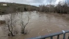 Imagen del río a su paso por Garray esta mañana de miércoles. /Ángel Campos