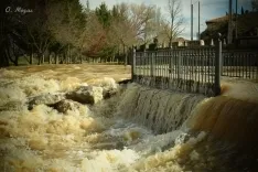 El Ucero hoy domingo en Osma. /Óscar Mozas