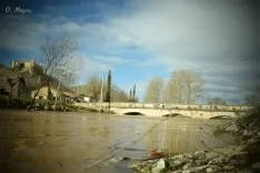 El Ucero hoy domingo en Osma. /Óscar Mozas