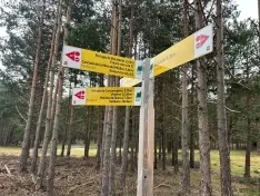 Foto 13 - Ruta: Un para&iacute;so soriano en Pinares