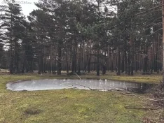 Foto 8 - Ruta: Un para&iacute;so soriano en Pinares