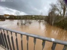 Foto 3 - Se desborda el r&iacute;o Tera a su paso por Garray