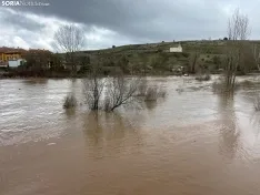 Foto 4 - Se desborda el r&iacute;o Tera a su paso por Garray