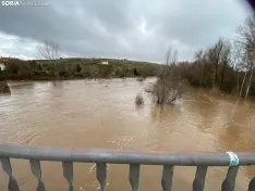 Foto 5 - Se desborda el r&iacute;o Tera a su paso por Garray