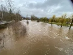Foto 6 - Se desborda el r&iacute;o Tera a su paso por Garray
