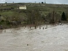 Foto 7 - Se desborda el r&iacute;o Tera a su paso por Garray