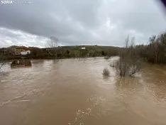 Foto 8 - Se desborda el r&iacute;o Tera a su paso por Garray