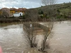 Foto 10 - Se desborda el r&iacute;o Tera a su paso por Garray