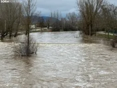 Foto 12 - Se desborda el r&iacute;o Tera a su paso por Garray