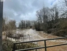 Foto 4 - Los bomberos realizan tareas de prevenci&oacute;n ante el posible desbordamiento del Duero a su paso por Soria
