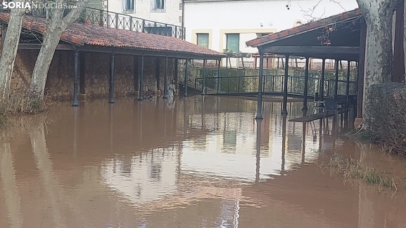 El Duero alcanza niveles muy altos a su paso por Soria