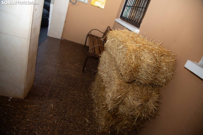 Carnaval de Borobia 2025