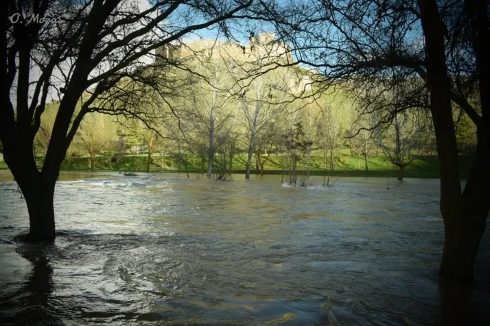 Fotos: El r&iacute;o Ucero deja estas im&aacute;genes en varios pueblos de Soria tras su crecida 
