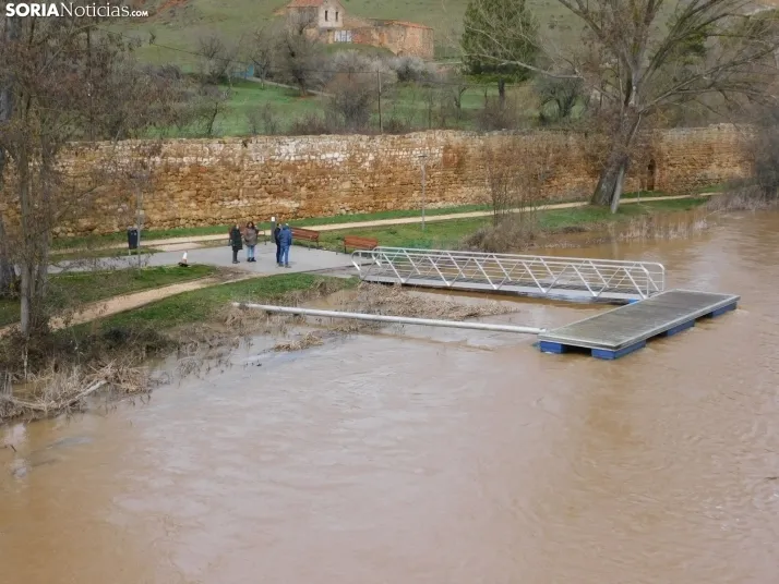 En im&aacute;genes: Espectacular crecida del Duero a su paso por Soria