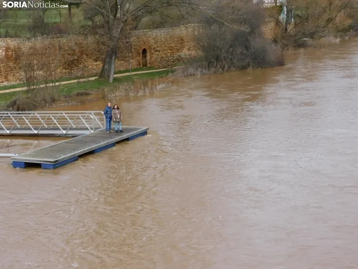 En im&aacute;genes: Espectacular crecida del Duero a su paso por Soria