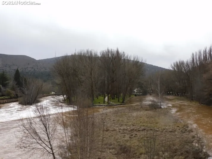 En im&aacute;genes: Espectacular crecida del Duero a su paso por Soria