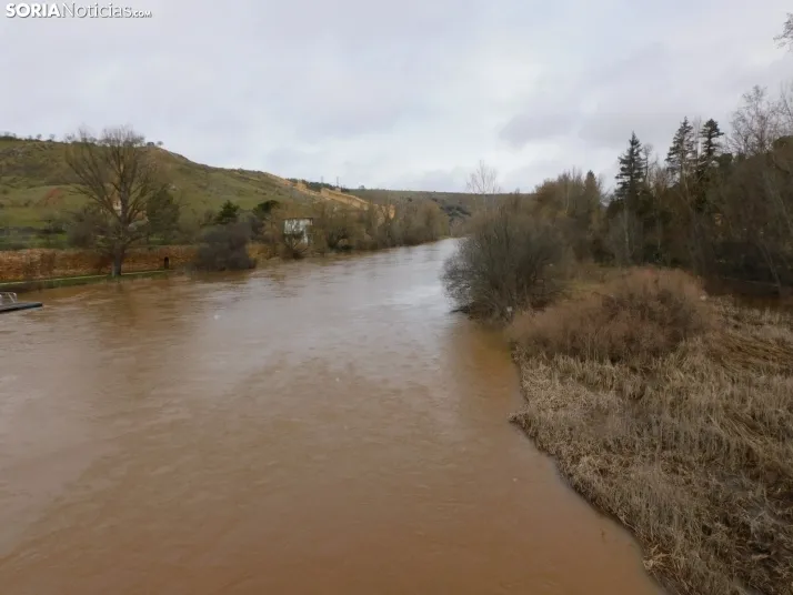 En im&aacute;genes: Espectacular crecida del Duero a su paso por Soria