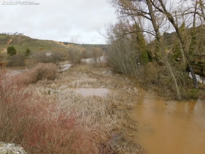 En im&aacute;genes: Espectacular crecida del Duero a su paso por Soria