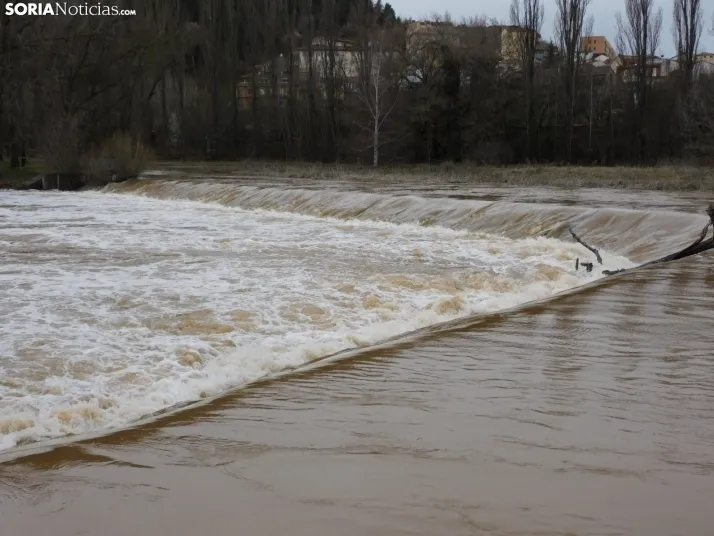 En im&aacute;genes: Espectacular crecida del Duero a su paso por Soria