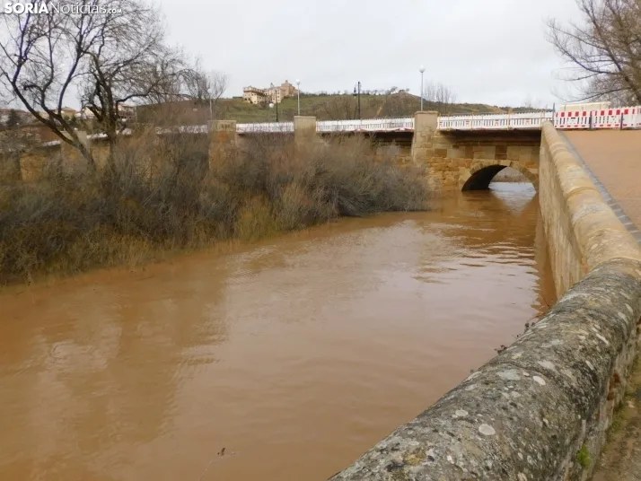 En im&aacute;genes: Espectacular crecida del Duero a su paso por Soria