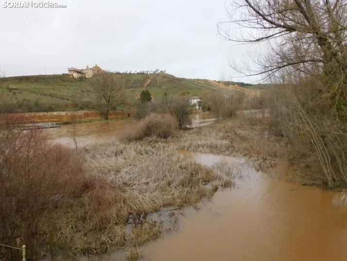 En im&aacute;genes: Espectacular crecida del Duero a su paso por Soria