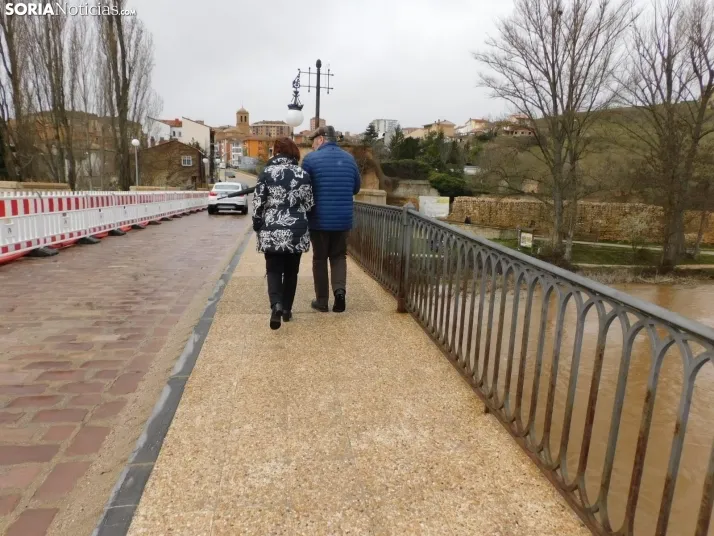 En im&aacute;genes: Espectacular crecida del Duero a su paso por Soria
